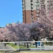 ヒメ日記 2025/04/28 14:38 投稿 詩月るか お姉さんLABO -艶-