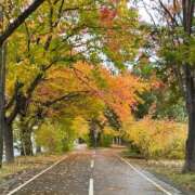 ヒメ日記 2025/11/03 10:58 投稿 詩月るか お姉さんLABO -艶-