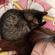 ヒメ日記 2025/11/28 19:08 投稿 詩月るか お姉さんLABO -艶-