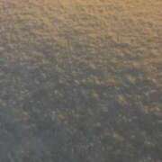 ヒメ日記 2026/01/25 04:48 投稿 詩月るか お姉さんLABO -艶-