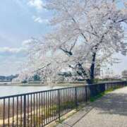 ヒメ日記 2025/04/09 09:53 投稿 新山そらの お姉さんLABO -艶-