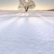 ヒメ日記 2025/11/16 08:08 投稿 新山そらの お姉さんLABO -艶-