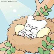 ヒメ日記 2025/08/17 13:35 投稿 るか（極上SPコース対応） EIGHT（エイト）～8つのお約束と無限の可能性～