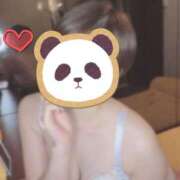 ヒメ日記 2025/02/26 11:18 投稿 瀬川あかり お姉さんLABO -艶-