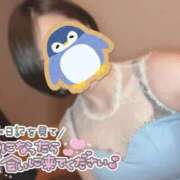 ヒメ日記 2025/11/07 12:18 投稿 瀬川あかり お姉さんLABO -艶-