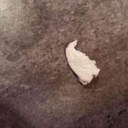 ヒメ日記 2025/06/13 09:43 投稿 新木ゆな お姉さんLABO -艶-