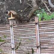 ヒメ日記 2025/08/20 13:38 投稿 松浦りえ お姉さんLABO -艶-