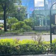 ヒメ日記 2025/09/19 11:43 投稿 松浦りえ お姉さんLABO -艶-