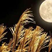 ヒメ日記 2025/10/28 13:58 投稿 松浦りえ お姉さんLABO -艶-