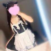 ヒメ日記 2025/10/04 13:09 投稿 しずく 京都ホテヘル倶楽部