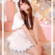 しずく クリスマス来れそう🎄 京都デリヘル倶楽部