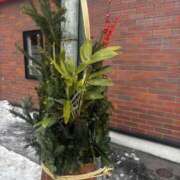 ヒメ日記 2024/12/28 13:26 投稿 にいな お姉さんSelect