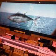 ヒメ日記 2025/10/10 14:52 投稿 にいな お姉さんSelect