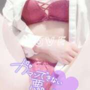 ヒメ日記 2025/03/25 15:50 投稿 みき（完全業界未経験！） 学園天国