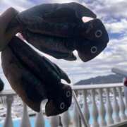 ヒメ日記 2025/12/04 12:03 投稿 月音 ニューグランド