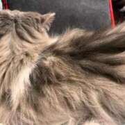 月音 おはにょん ニューグランド