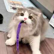 ヒメ日記 2026/01/28 00:18 投稿 月音 ニューグランド