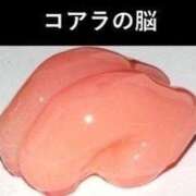 ヒメ日記 2026/02/05 18:53 投稿 月音 ニューグランド