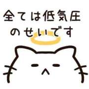 月音 ごめん負けたわ。 ニューグランド