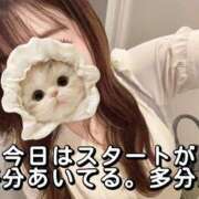 ヒメ日記 2026/06/15 06:53 投稿 月音 ニューグランド