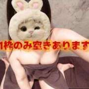 ヒメ日記 2026/06/15 19:24 投稿 月音 ニューグランド