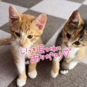 ヒメ日記 2025/07/05 03:08 投稿 あゆ なすがママされるがママ 宇都宮