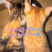 ヒメ日記 2025/07/10 17:38 投稿 あゆ なすがママされるがママ 宇都宮