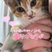 ヒメ日記 2025/07/18 22:08 投稿 あゆ なすがママされるがママ 宇都宮