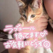 ヒメ日記 2025/08/14 15:18 投稿 あゆ なすがママされるがママ 宇都宮