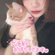 ヒメ日記 2025/09/20 13:08 投稿 あゆ なすがママされるがママ 宇都宮