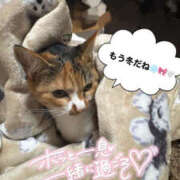 ヒメ日記 2025/11/17 21:30 投稿 あゆ なすがママされるがママ 宇都宮