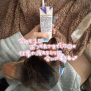 ヒメ日記 2025/11/29 15:40 投稿 あゆ なすがママされるがママ 宇都宮