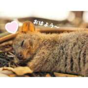 ヒメ日記 2024/12/14 07:41 投稿 みなこ 小岩人妻花壇