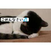 ヒメ日記 2024/12/25 14:08 投稿 みなこ 小岩人妻花壇