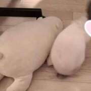 ヒメ日記 2025/03/04 13:45 投稿 みなこ 小岩人妻花壇