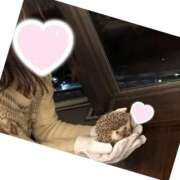 ヒメ日記 2025/04/10 09:55 投稿 みなこ 小岩人妻花壇