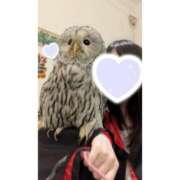 ヒメ日記 2025/04/13 08:32 投稿 みなこ 小岩人妻花壇