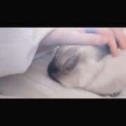 ヒメ日記 2025/04/30 12:45 投稿 みなこ 小岩人妻花壇