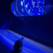 ヒメ日記 2025/05/17 09:05 投稿 みなこ 小岩人妻花壇