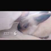 ヒメ日記 2025/06/14 08:53 投稿 みなこ 小岩人妻花壇