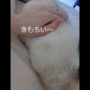 ヒメ日記 2025/07/07 23:33 投稿 みなこ 小岩人妻花壇