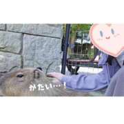 ヒメ日記 2025/07/14 22:45 投稿 みなこ 小岩人妻花壇