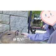 ヒメ日記 2025/07/15 08:14 投稿 みなこ 小岩人妻花壇