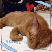 ヒメ日記 2024/12/23 00:22 投稿 川村　あんな しこたま奥様 札幌店