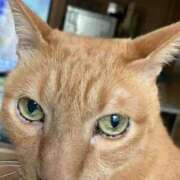 ヒメ日記 2025/05/04 16:25 投稿 川村　あんな しこたま奥様 札幌店