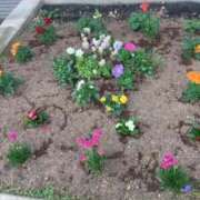 ヒメ日記 2025/05/15 09:05 投稿 川村　あんな しこたま奥様 札幌店