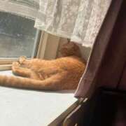 ヒメ日記 2025/05/16 16:13 投稿 川村　あんな しこたま奥様 札幌店