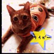 ヒメ日記 2025/05/20 05:40 投稿 川村　あんな しこたま奥様 札幌店