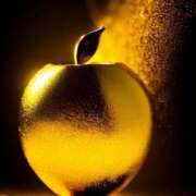 ヒメ日記 2025/05/25 14:15 投稿 川村　あんな しこたま奥様 札幌店