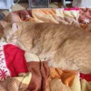 ヒメ日記 2025/05/26 11:25 投稿 川村　あんな しこたま奥様 札幌店